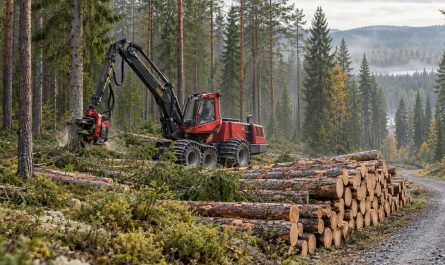 Olika sätt att investera i skog